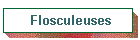 Flosculeuses